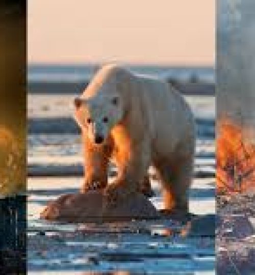 download-11-qp96bp6jjc6iy31rtb9q8eta142f7j05tno3ky4cgo