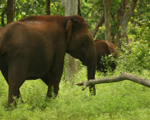 saketh-upadhya-PHRd8AY3SJA-unsplash-768x512